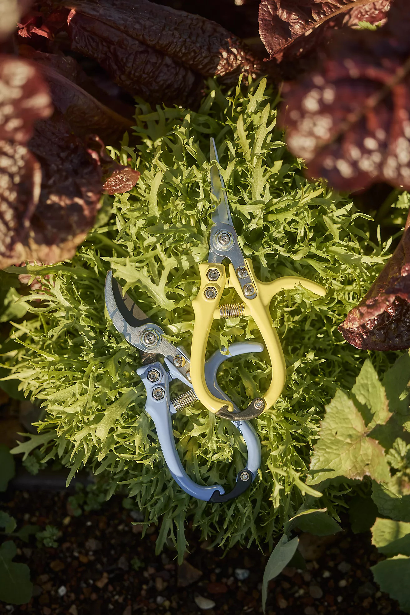 Pruner Snips | Anthropologie (US)