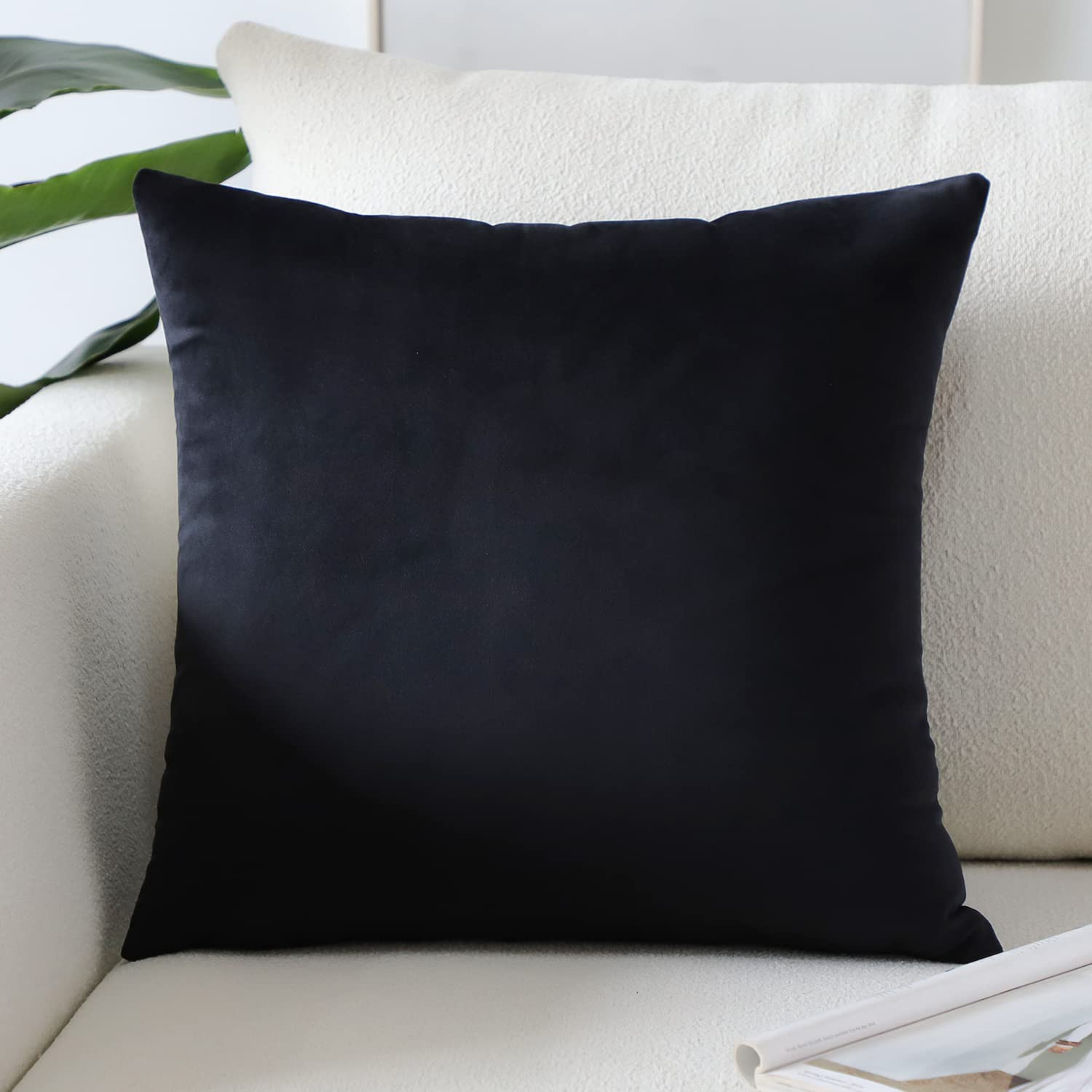 $9.99                            $9.99 | Amazon (US)