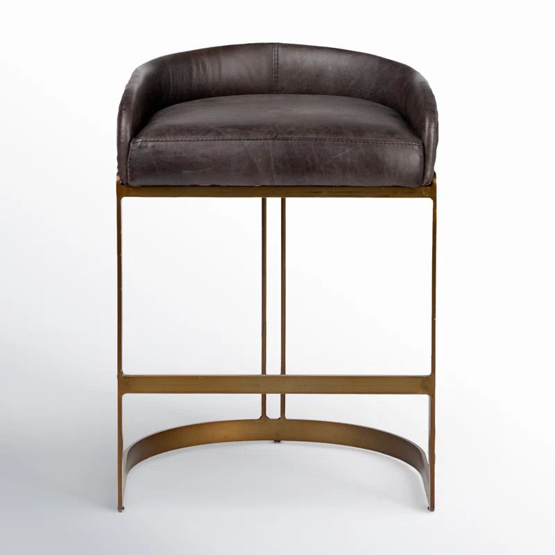 Bradley Genuine Leather Bar & Counter Stool | Joss & Main