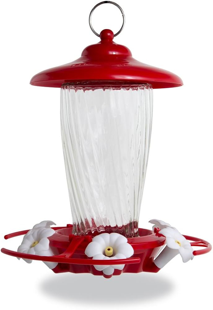 Pennington 32 oz Decorative Glass Hummingbird Feeder, Red | Amazon (US)