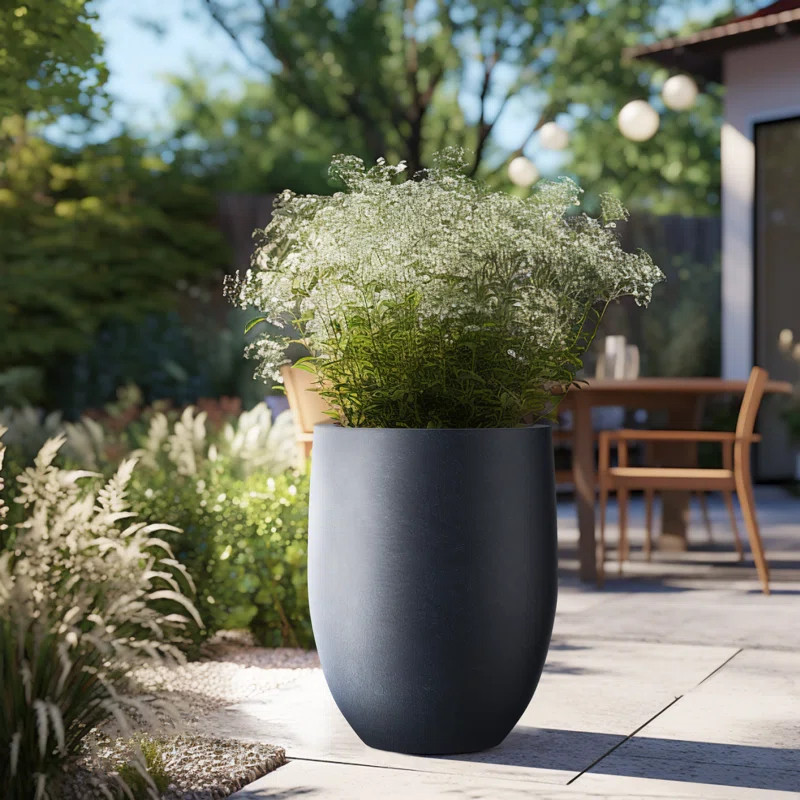 Wrought Studio™ Irmelie Cement Pot Planter & Reviews | Wayfair | Wayfair North America