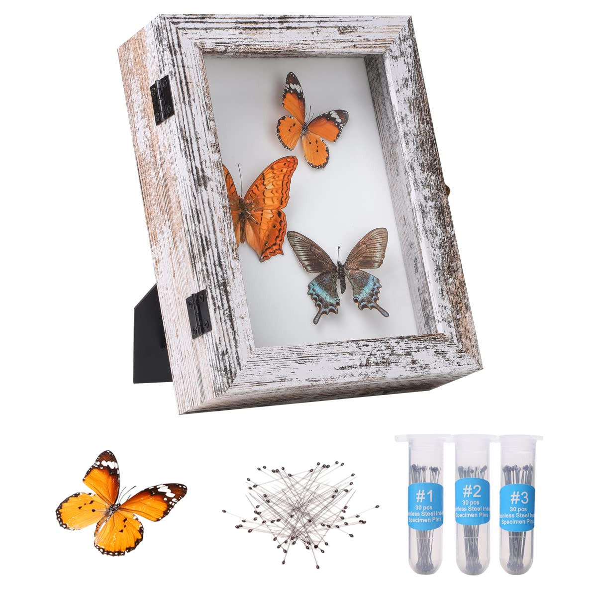 IHEIPYE Insect Display Case Wall Mount Bug Display Case with Anti Fade UV Protection Acrylic Top ... | Amazon (US)