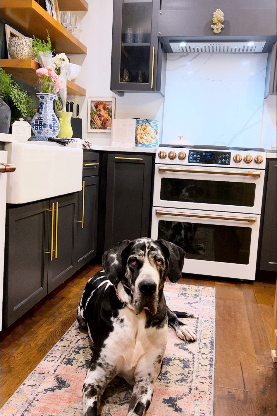 Kitchen
Rug
Runner
Decor
Home
Plage
Dishes
Bowls


#LTKunder50 #LTKhome #LTKstyletip