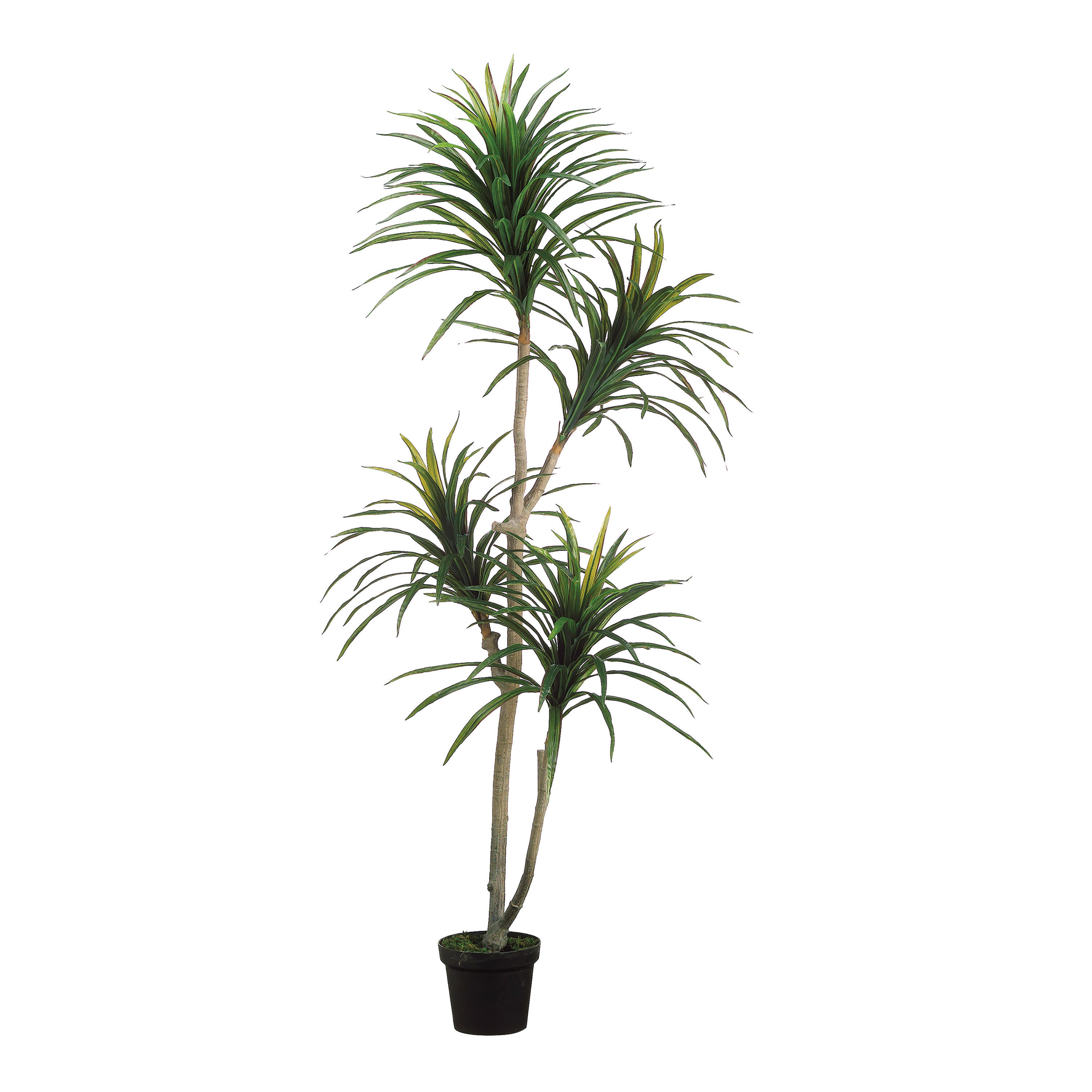 Faux Yucca Tree | World Market