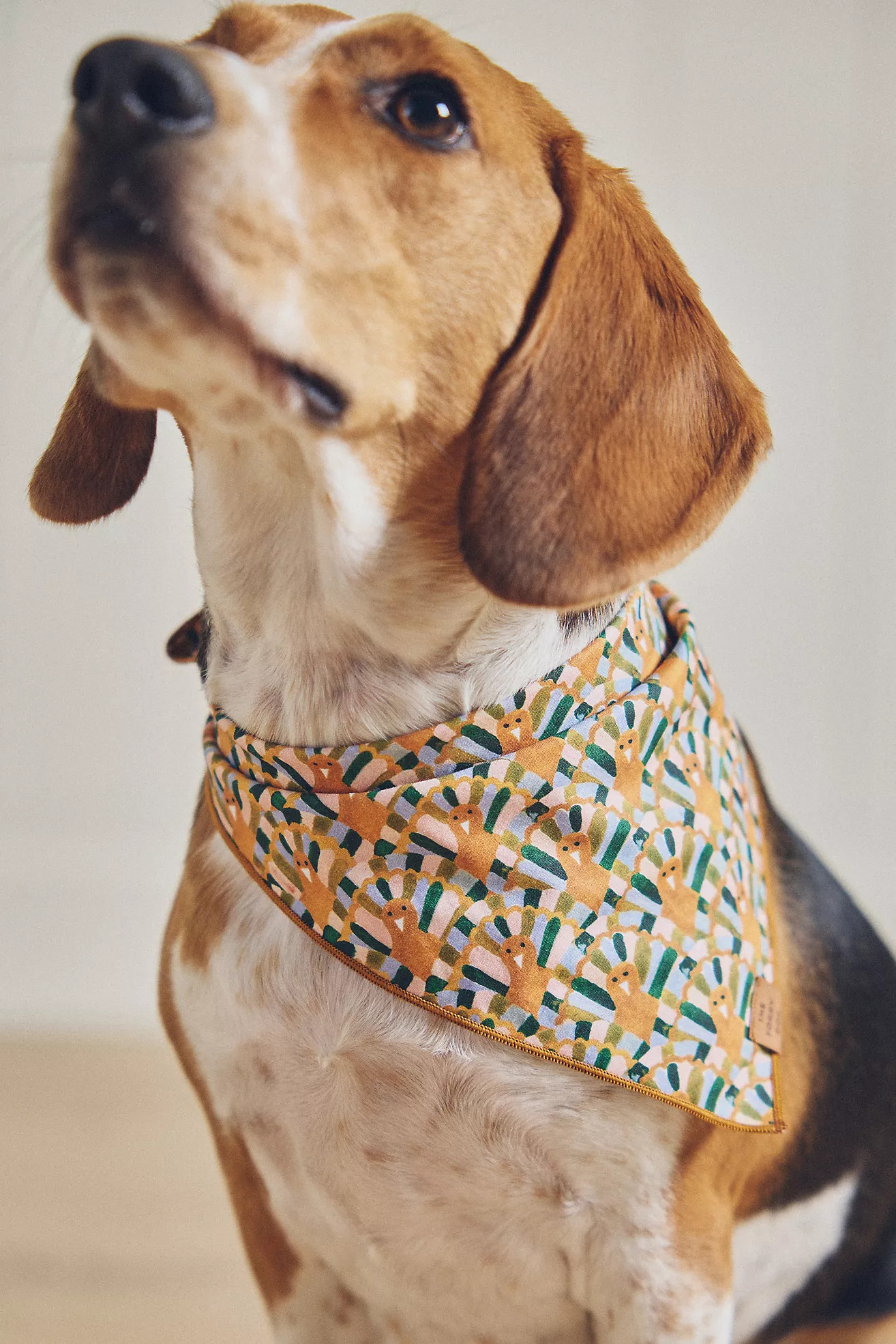 The Foggy Dog Pet Bandana | Anthropologie (US)