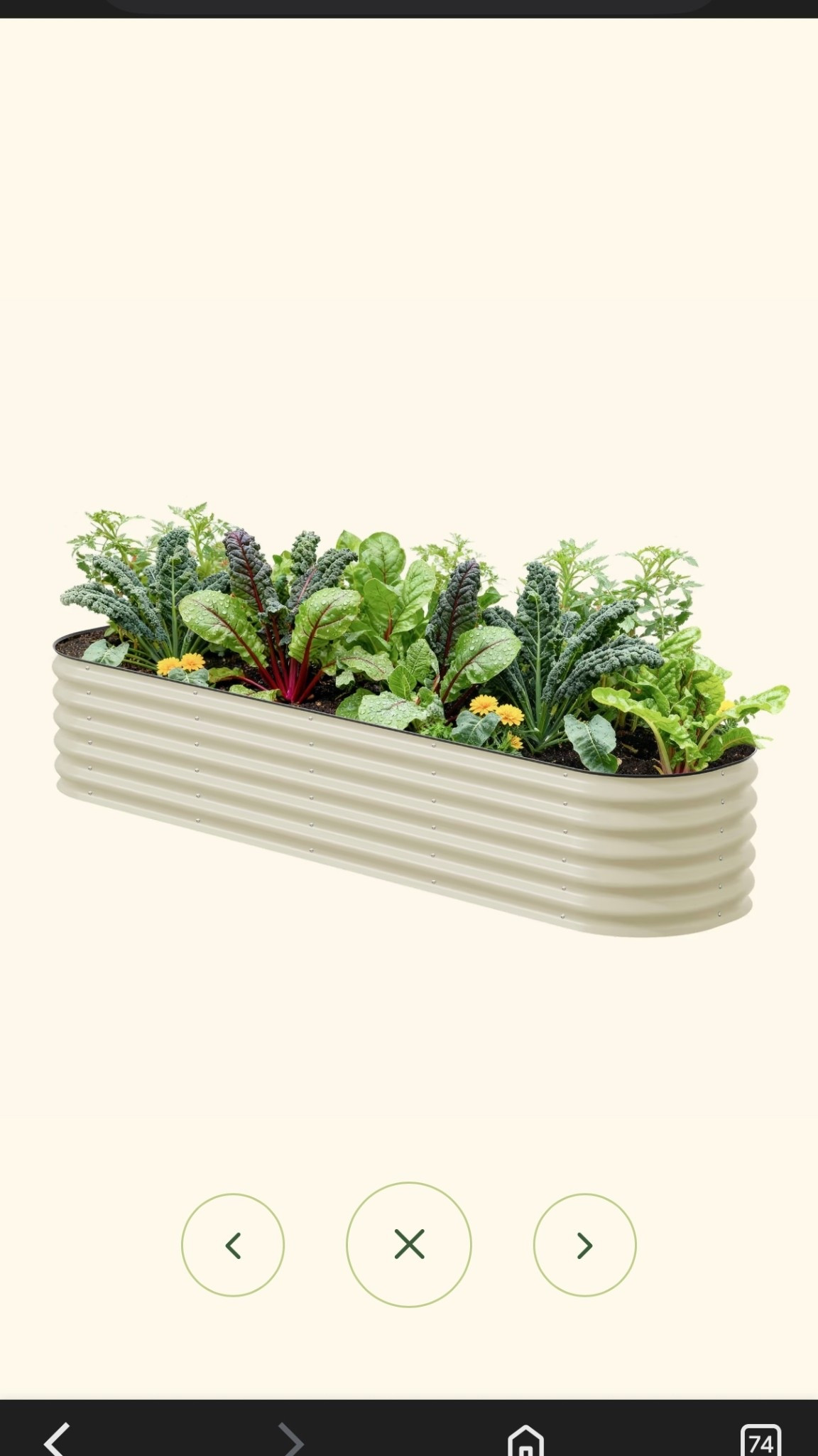 Garden bex

#LTKHome