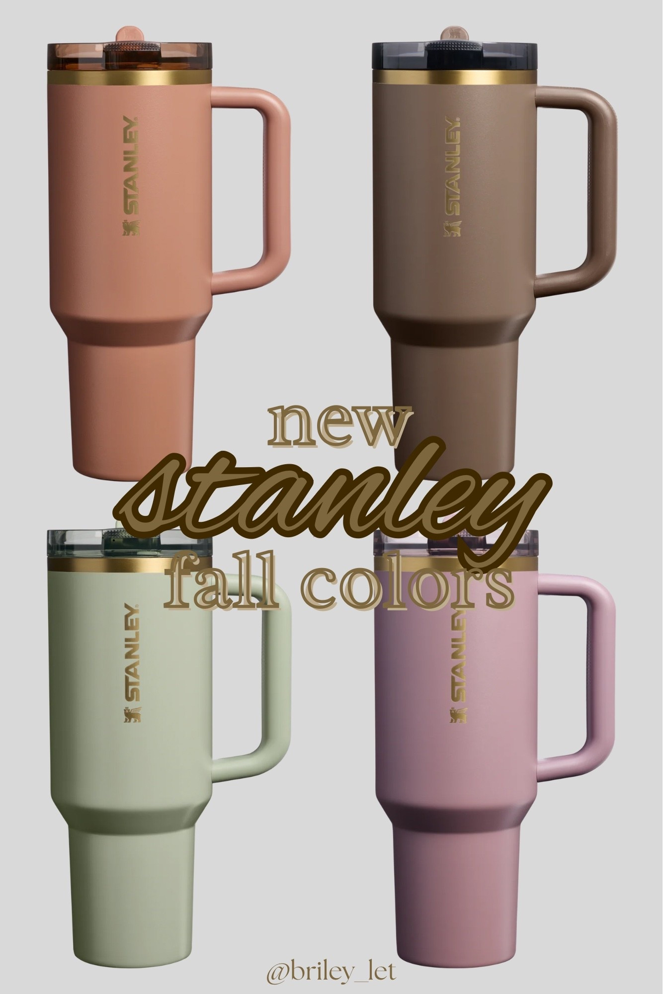 Stanley just came out with new fall colors! 🍁🤍

#LTKSeasonal #LTKFindsUnder50