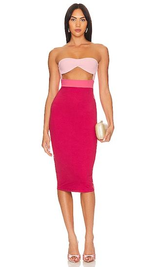 Underwire Tube Dress in Rose | Revolve Clothing (Global)