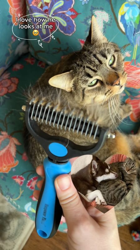 This grooming brush is one of my ESSENTIALS!! I use this brush to get out matted clumps in my cats fur but it also gets our loose fur. I use it on my dog too. My cat loves it though. I always recommend getting this brush and this deshedding brush that I’m going to also pink.


#LTKhome #LTKfindsunder50 #LTKfamily