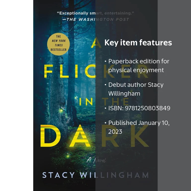 A Flicker in the Dark: A Novel (Paperback) | Walmart (US)