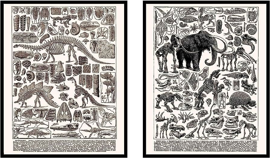 Poster Master 2-Piece Vintage Science Poster - Retro Paleontology Print - 8x10 UNFRAMED Wall Art ... | Amazon (US)