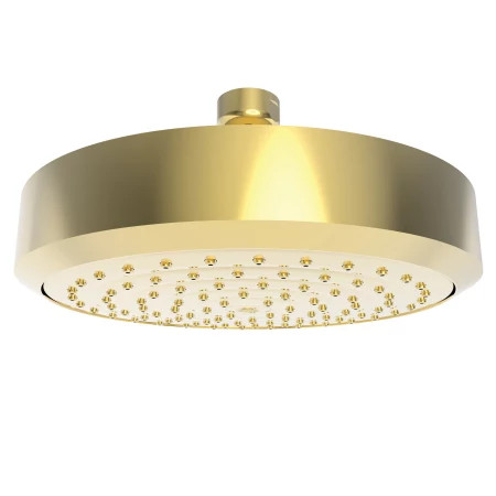 6" 1.8 GPM Single Function Solid Brass Shower Head | Build.com, Inc.