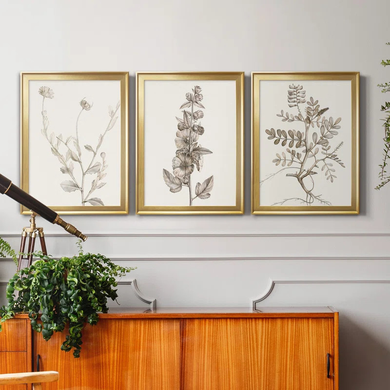 Neutral Botanical Study IV Framed On Canvas 3 Pieces Print | Wayfair North America