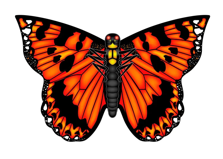 X Kites Poly Butterfly Kite Orange | Walmart (US)