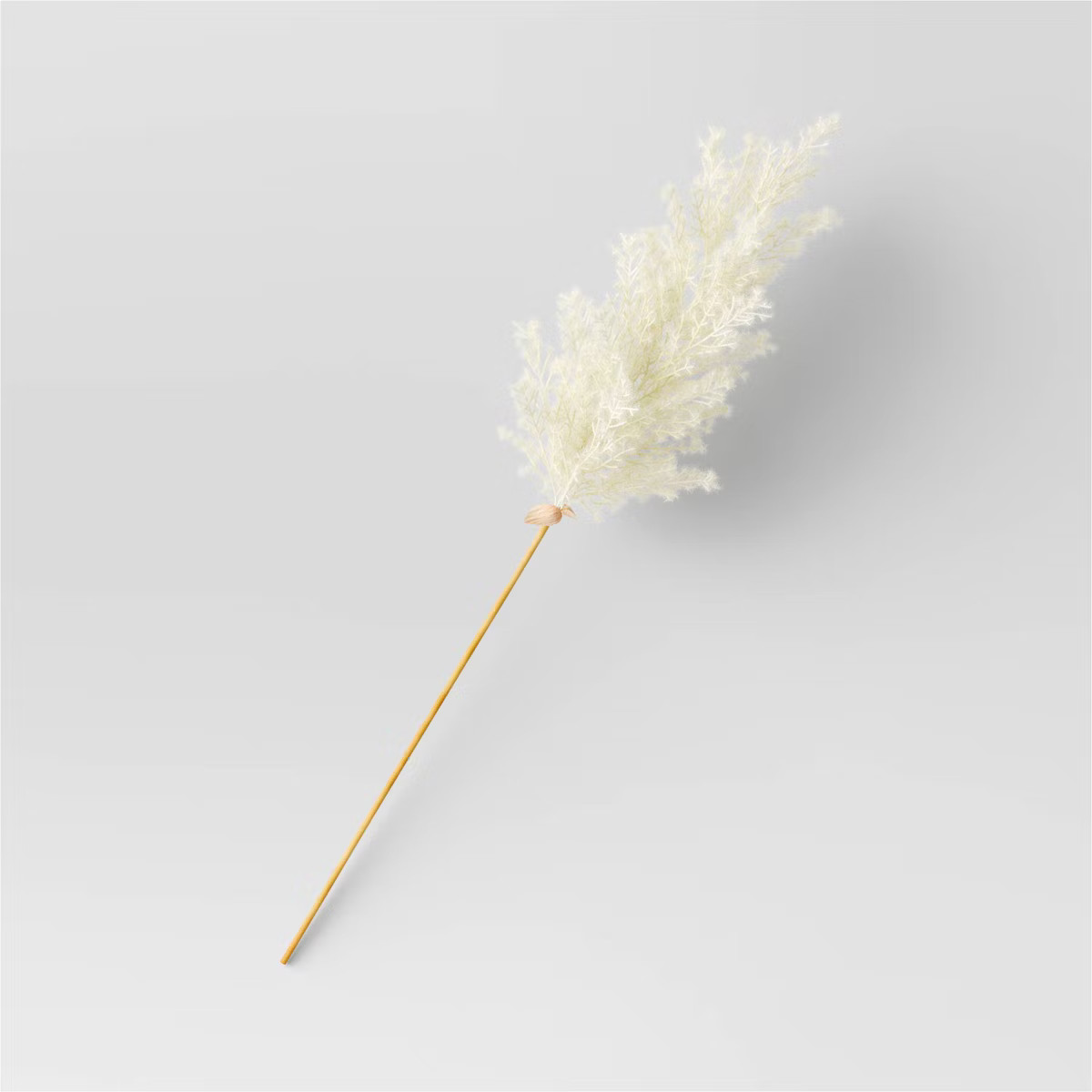 Pampas Grass Branch - Threshold™ | Target
