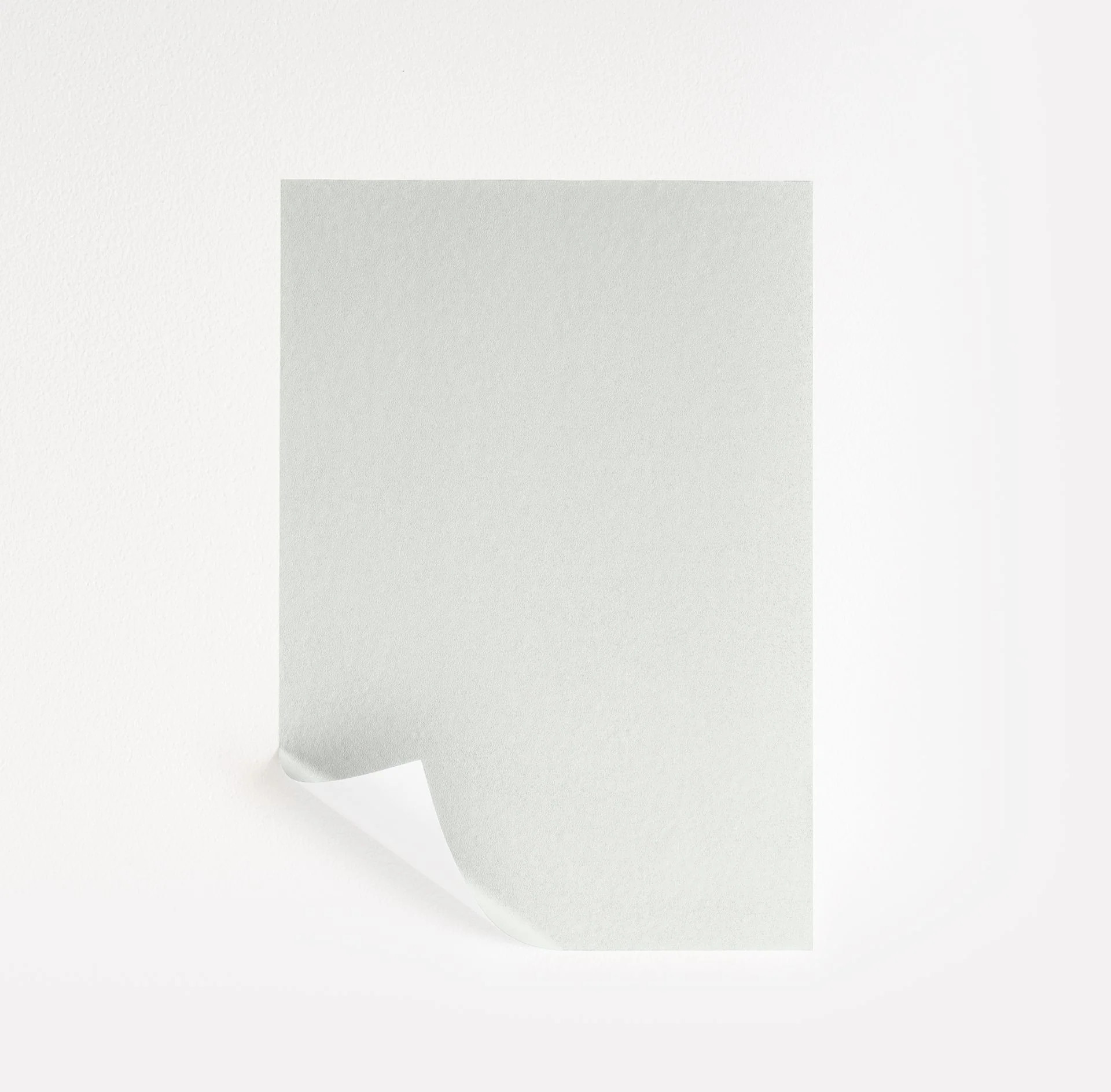 Snowbelt Paint Sample by Sherwin-Williams (9623) | Peel & Stick Paint Sample | Samplize