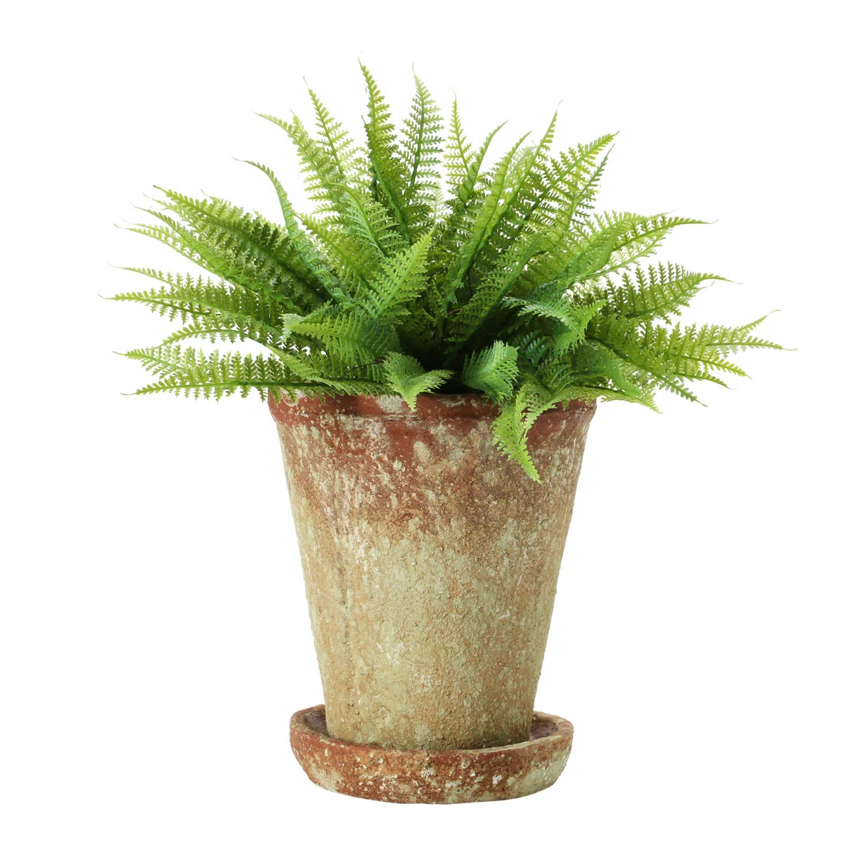 Hillengas Round Cement Planter with Saucer and Distressed Finish | Wayfair North America