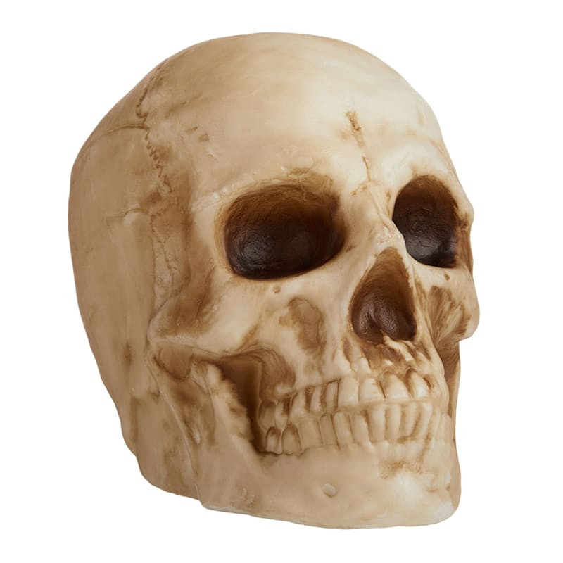 Blow Mold Skull With Color Changing LED Illumination, 20" | At Home