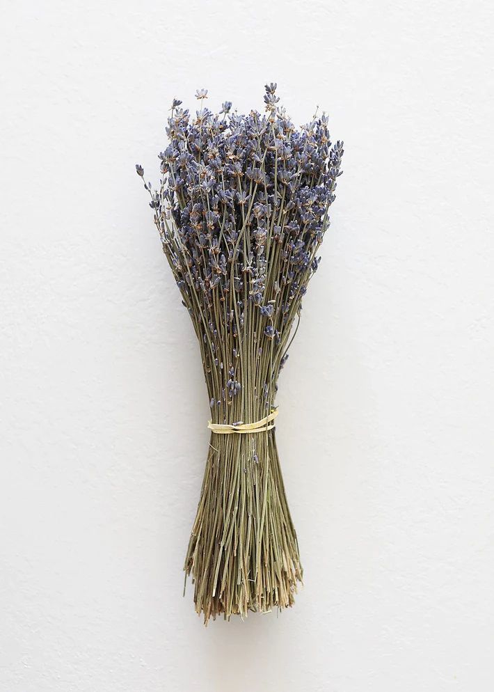 Dried Lavender Bundle in Purple Blue - 6 - 14" Tall | Afloral (US)