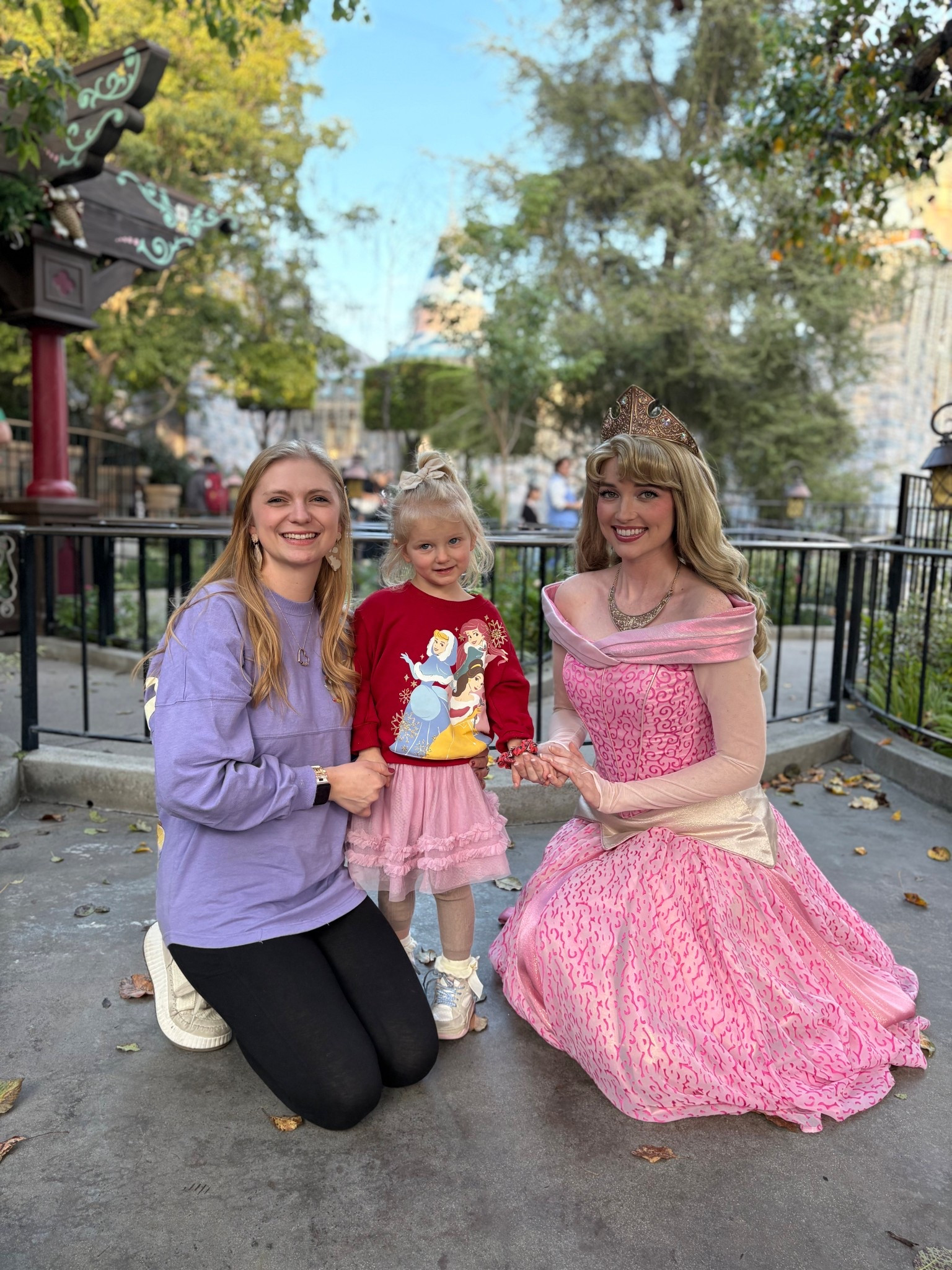 Cutest princess sweatshirt for toddler girls! TTS and so soft! 

#LTKSaleAlert #LTKKids #LTKHoliday