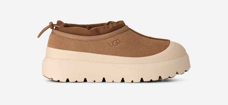 UGG® Men's Tasman Weather Hybrid Suede Shoes in Chestnut/Whitecap, Size 6 | UGG (US)