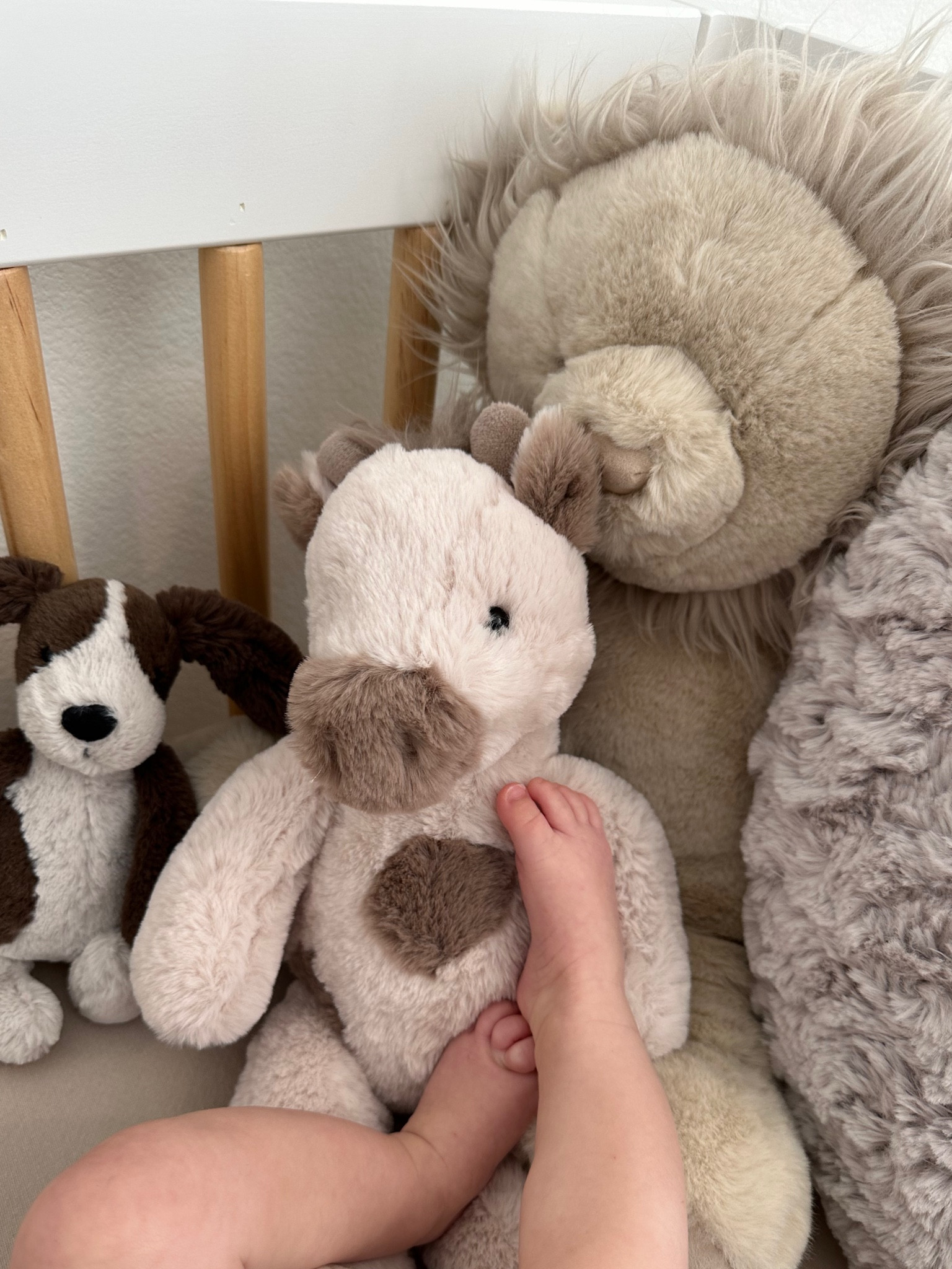 caidan and his new animal friends in his big boy crib! 🦒 sharing the furry finds here. 

#LTKbaby