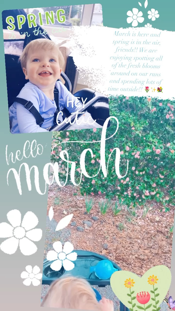 March is here and spring is in the air, friends!! We are enjoying spotting all of the fresh blooms around on our runs and spending lots of time outside!! 🌷✨💐

#LTKhome #LTKfamily #LTKbaby