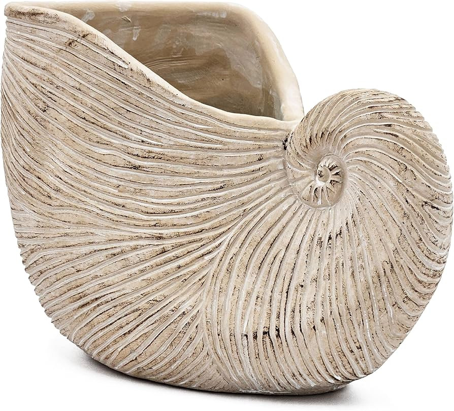 Nautilus Shell Planter with Textured Beige Finish, Coastal-Themed Sand and Cement Planter, Perfec... | Amazon (US)