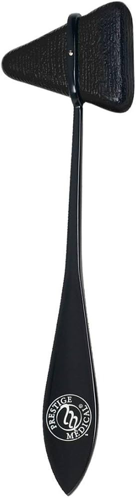Prestige Taylor Percussion Hammer with Stealth Gray Head | Amazon (US)