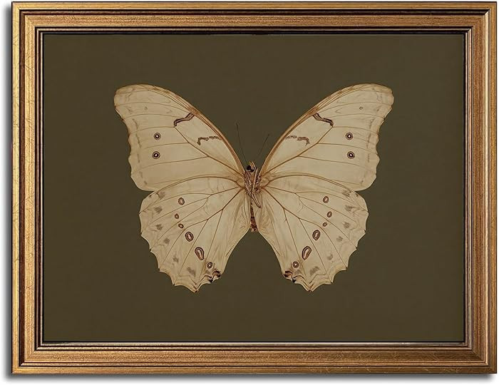 Gold Framed Wall Art Vintage Butterfly Canvas Wall Art White Butterfly Moody Insect Artwork Print... | Amazon (US)