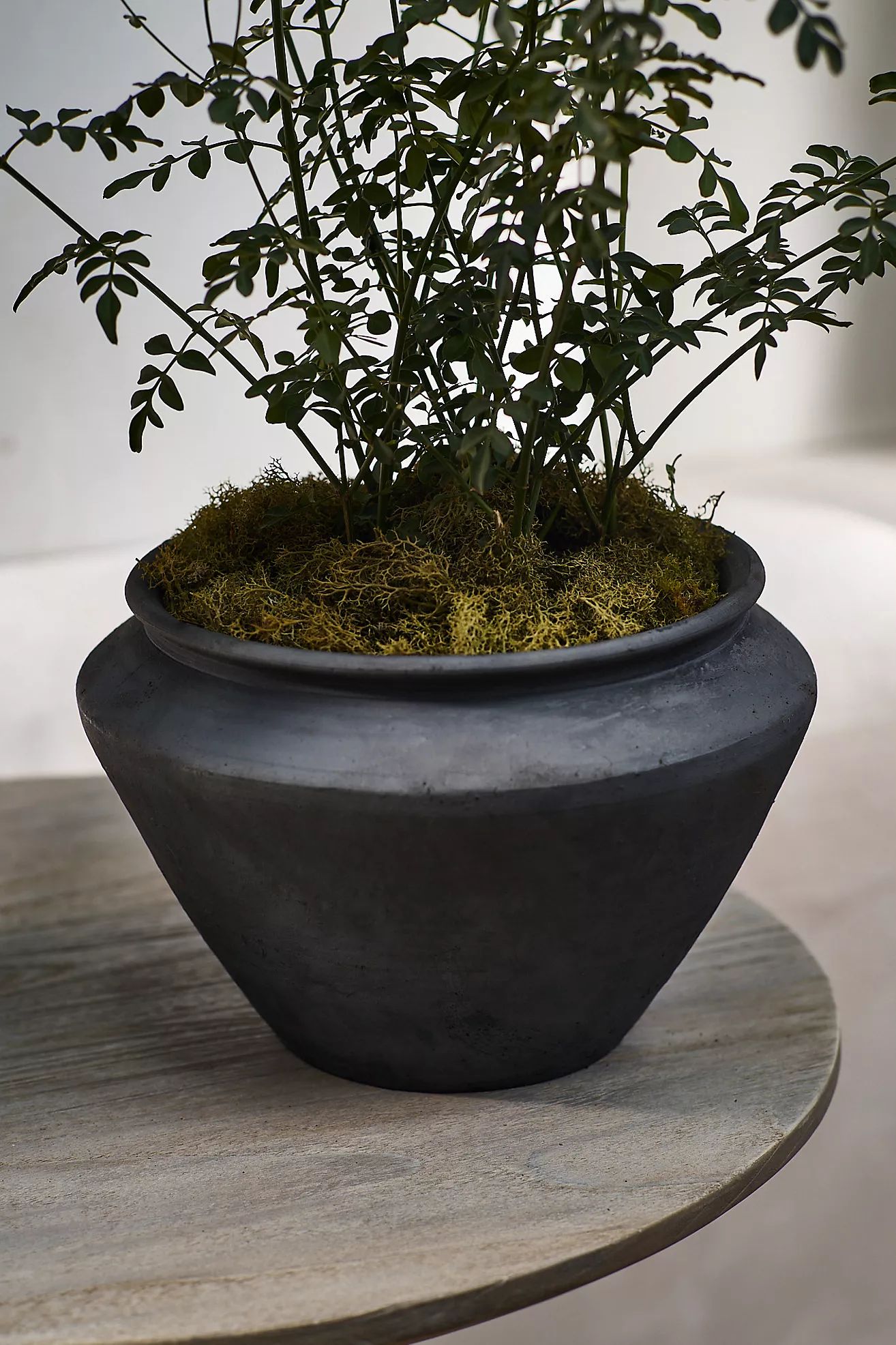 Stella Ceramic Planter | Anthropologie (US)