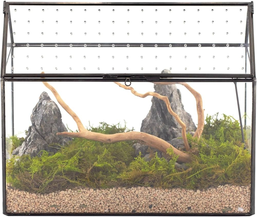 NCYP House Shape Glass Terrarium with Acrylic Lid - 10.2x5.9x8.2 Inches - Tabletop Large Geometri... | Amazon (US)