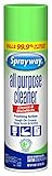 Sprayway SW5002R All Purpose Disinfectant Cleaner, Foaming Action, 19 Ounce | Amazon (US)