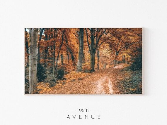 Autumn Forest | Samsung Frame Tv Art | Colorful Foliage | Autumn Frame Tv Art | Fall Frame Tv Art... | Etsy (US)