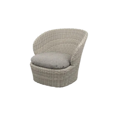 Coast Lounge Chair W/Swivel | Wayfair North America