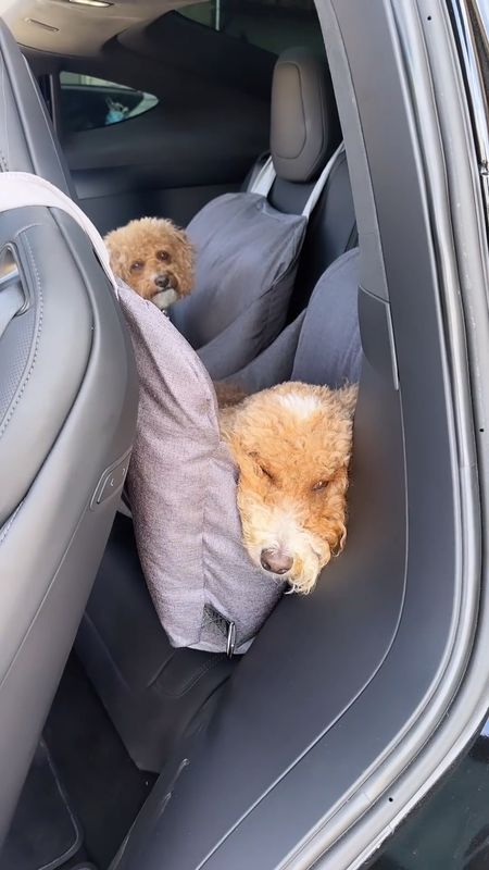 Quite possibly the best thing I’ve bought for my car in a minute! Goldie lays in hers the whole ride and Pennie doesn’t roam AS much haha  

#LTKtravel