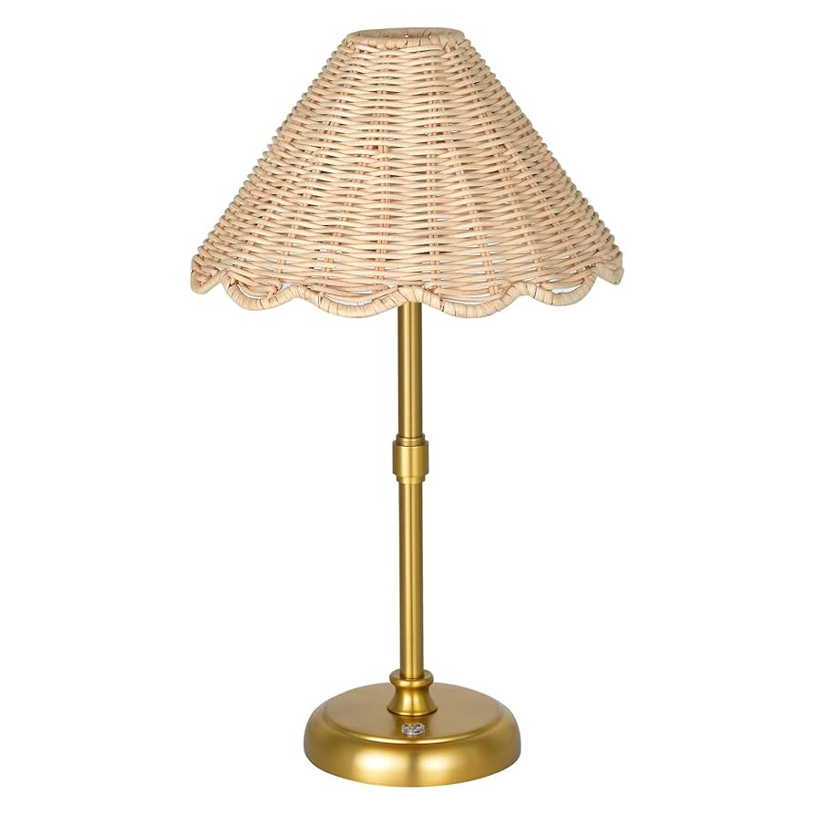 Cordless Boho Rattan Table lamp, 5200-mAh Rechargeable Battery, 3-level Brightness Dimmable, Buil... | Amazon (US)