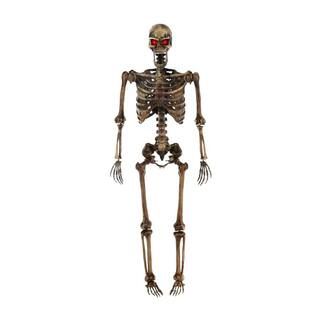 This item: 5 ft Posable Decayed Skeleton with LED Eyes | The Home Depot