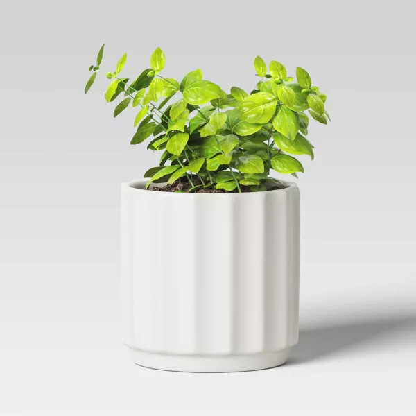 Geared Terracotta Indoor Outdoor Planter Pot  - Threshold™ | Target