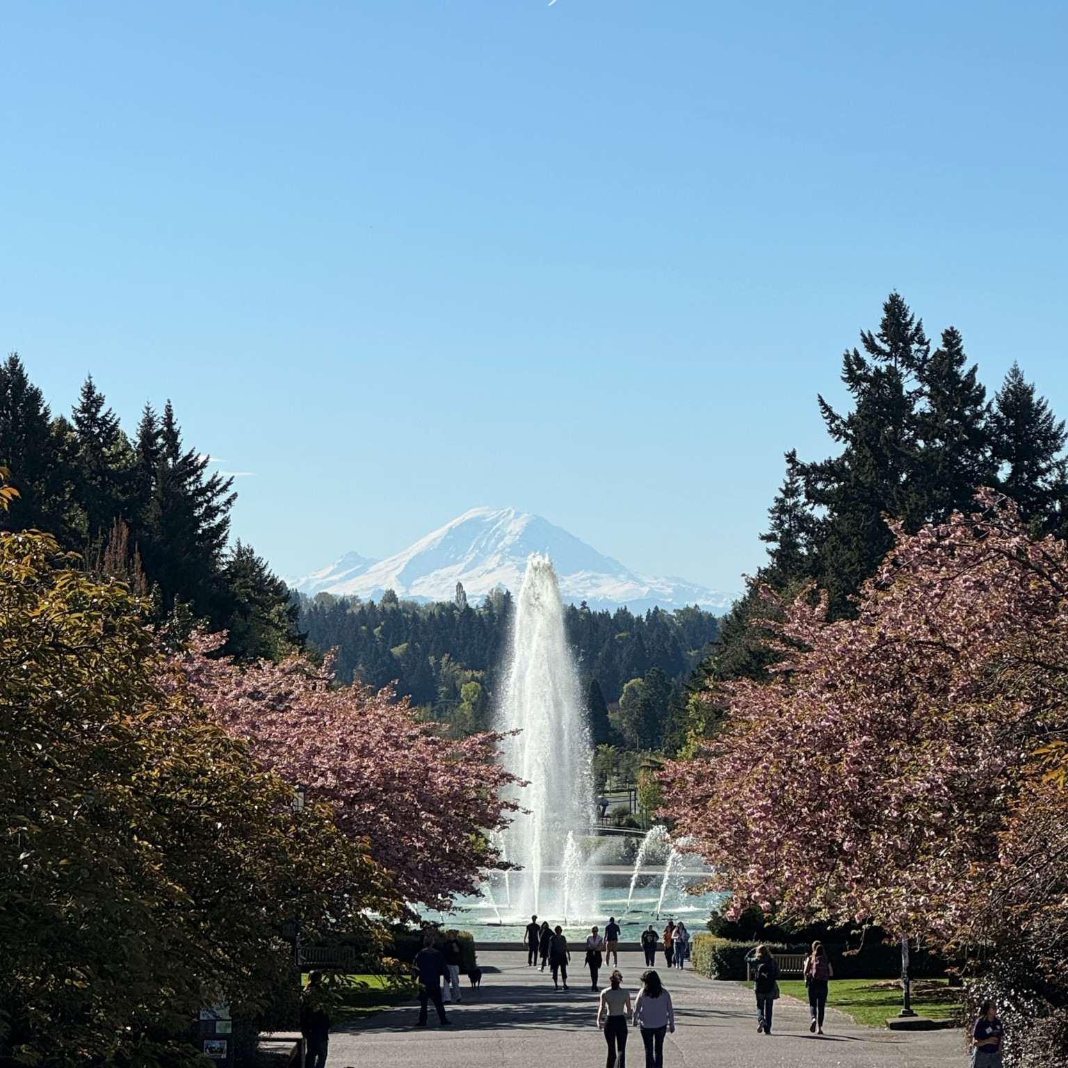 Durable running shoes