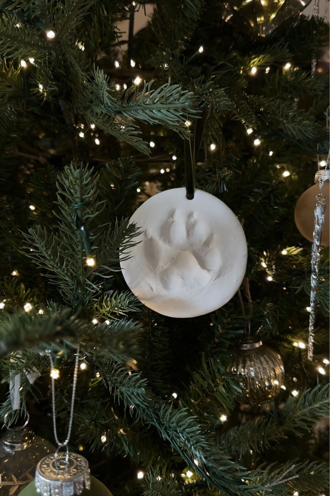 Anything for those Christmas crafts 🐾