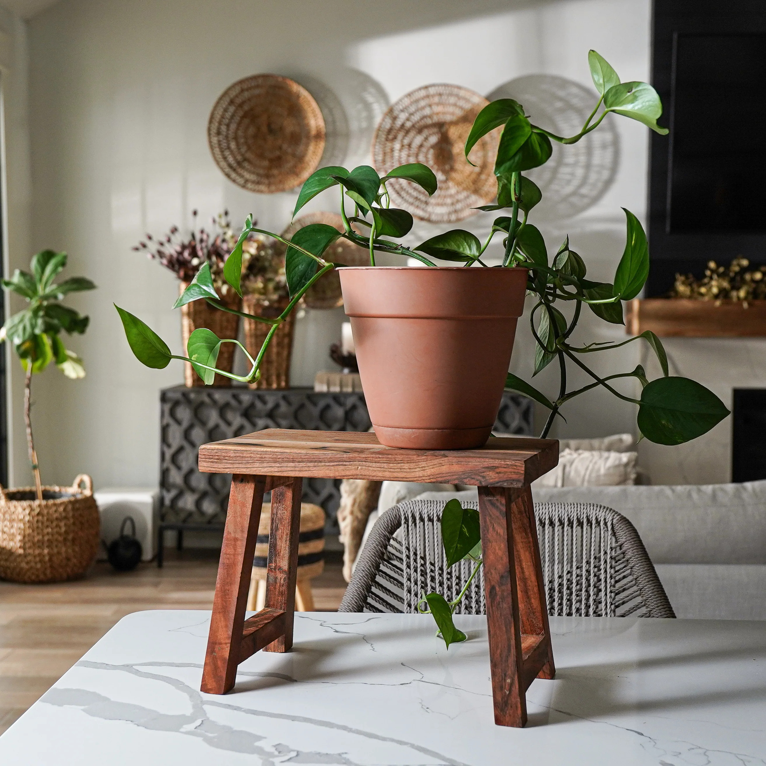Kai Natural Wood Stool | MJHome