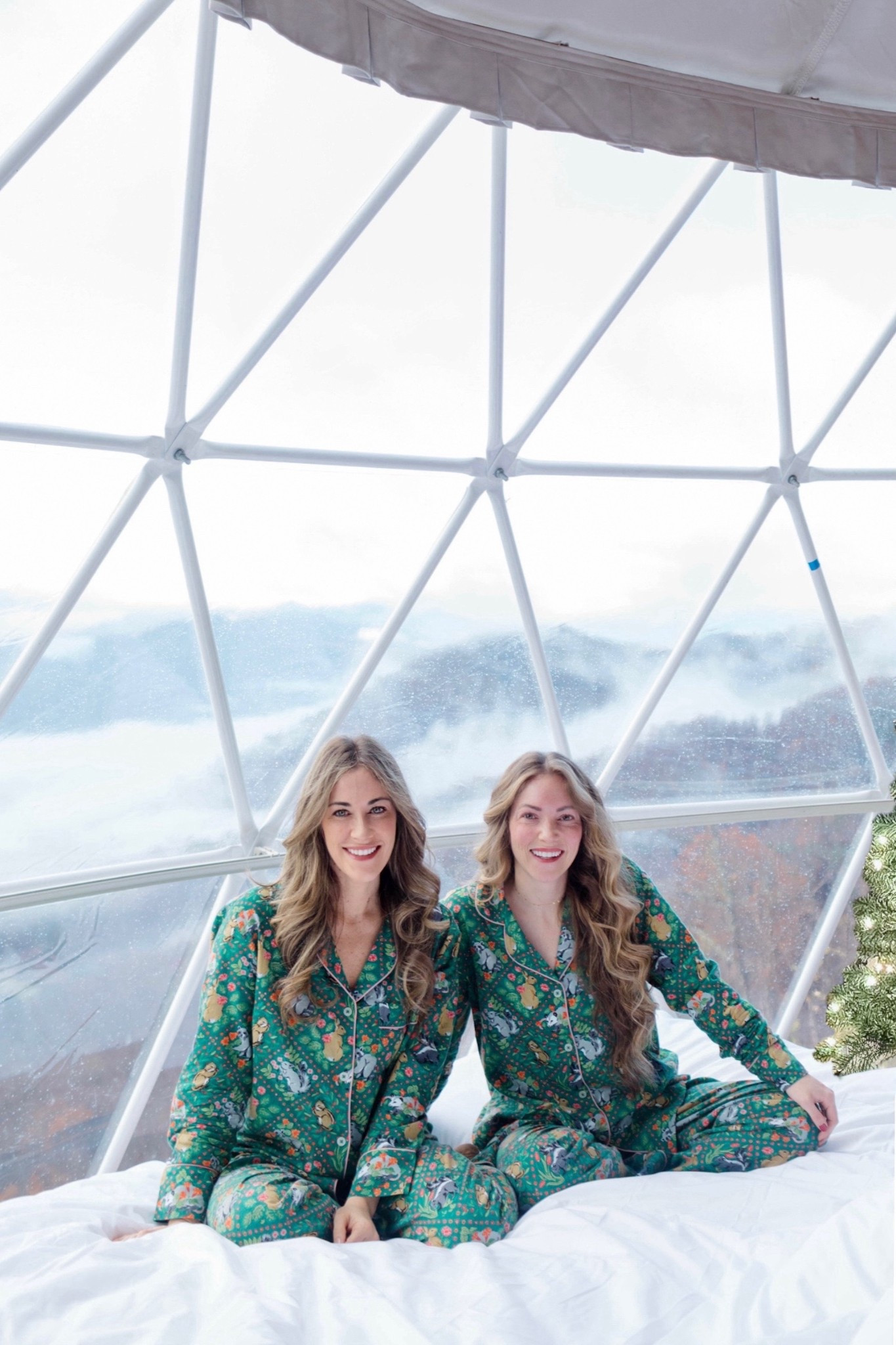 The cutest flannel pjs. Linked 2 very similar wool and prints in the same brand. Size small  

#LTKHoliday #LTKGiftGuide #LTKselfcare