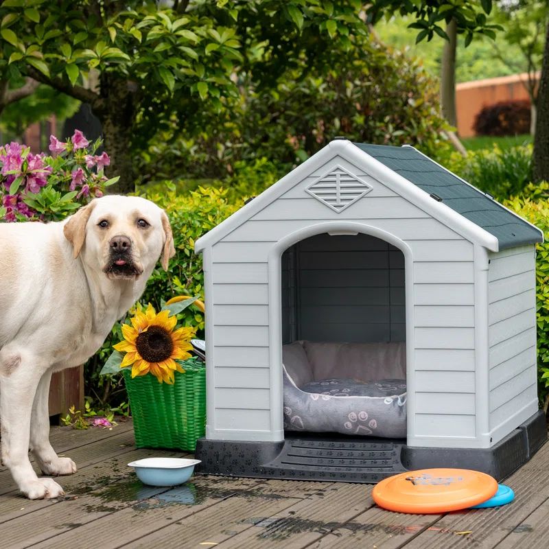 Deisi Plastic Insulated Dog House | Wayfair North America