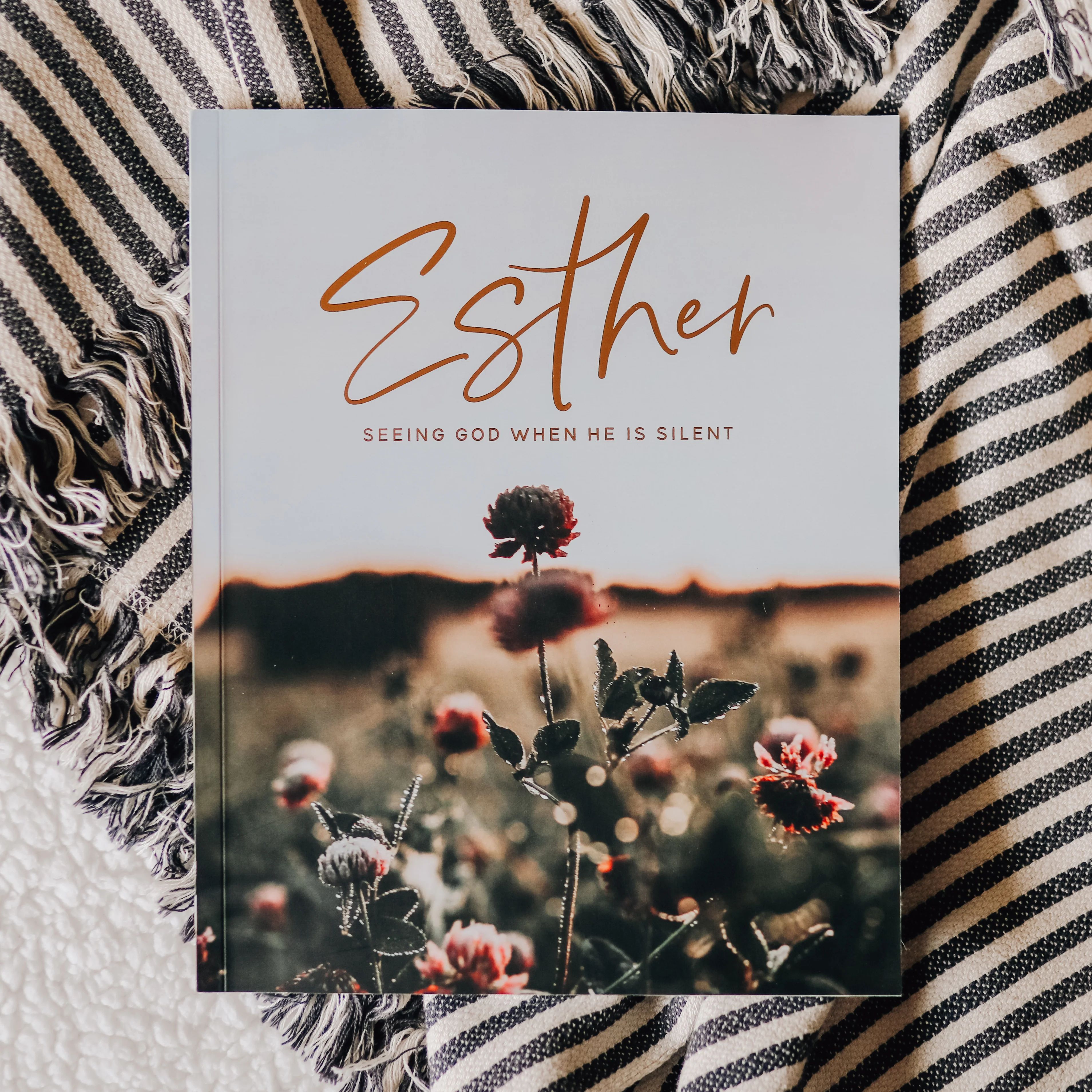 Esther | Seeing God When He Is Silent | The Daily Grace Co.