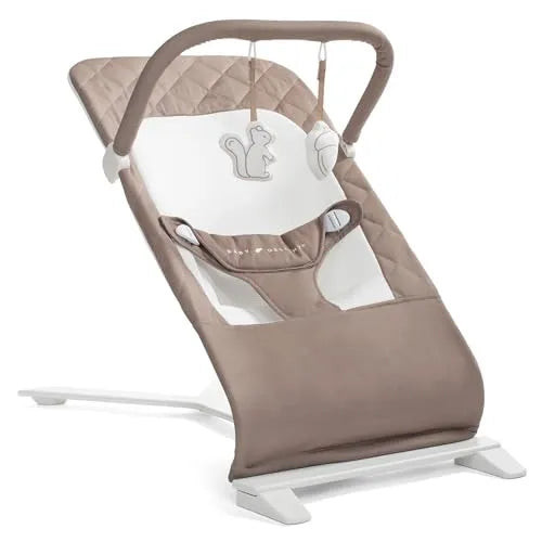 Baby Delight Alpine Organic Deluxe Portable Bouncer - Mocha | REBEL (formerly Rebelstork)