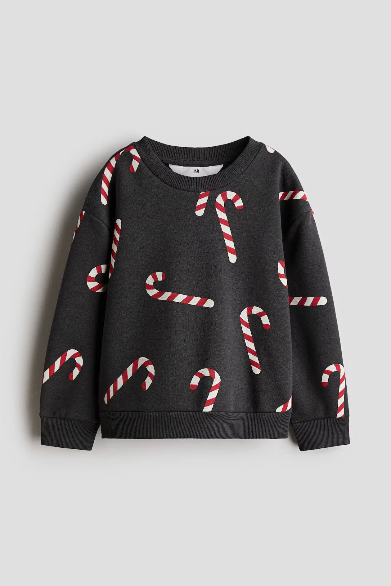 Sweatshirt | H&M (US + CA)