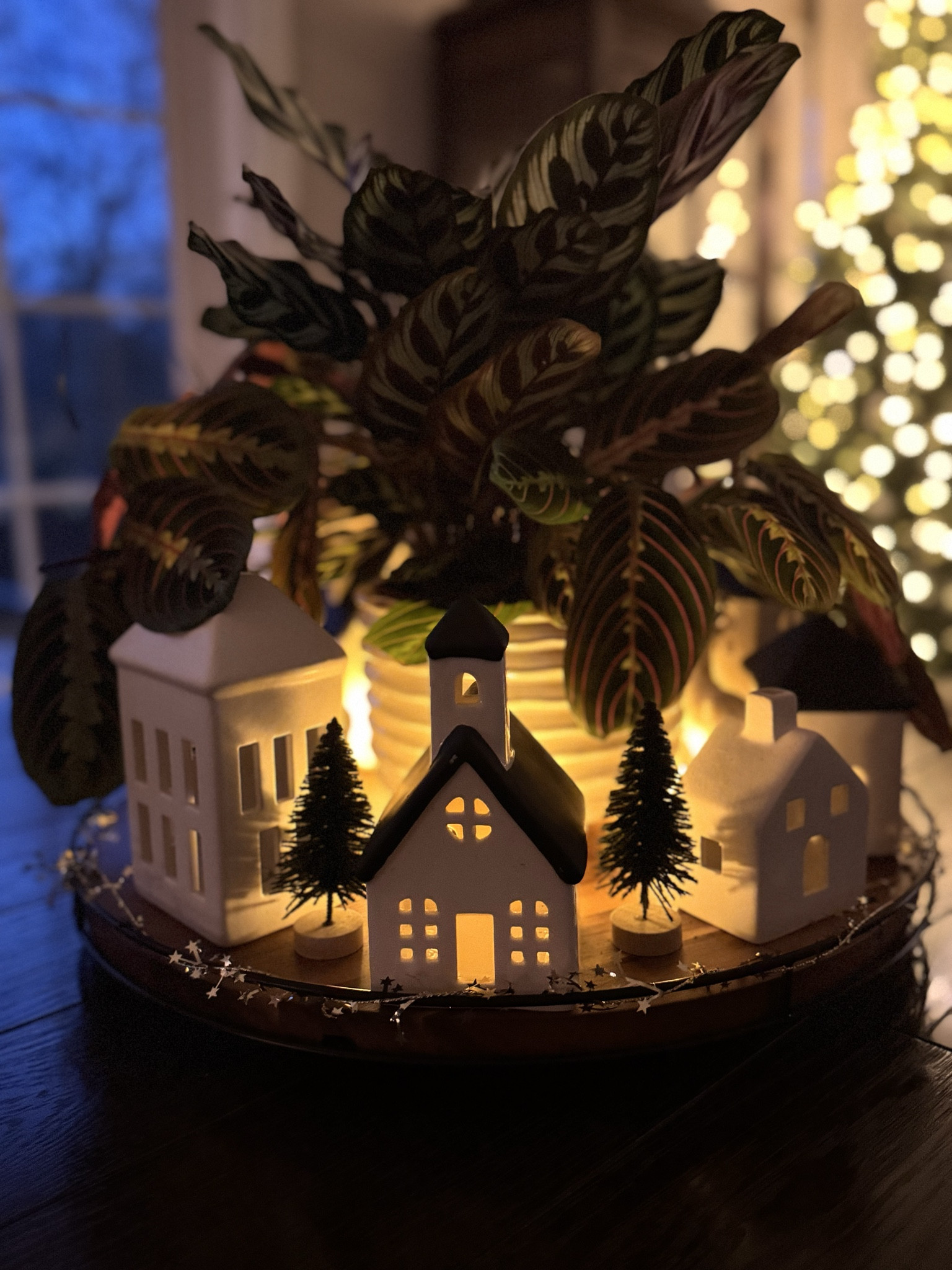 Cozy holiday vibes, simplified! ✨ Recreate this charming centerpiece with small houses, a natural praying plant, delicate frameless candles, and a festive village. Perfect for adding a warm, whimsical touch to your table this season.

#HolidayDecor #CozyVibes #TableCenterpiece #FestiveDecor #VillageDisplay #ChristmasDecor #HomeStyling #LTKDecor
 

#LTKHoliday #LTKHome #LTKSeasonal