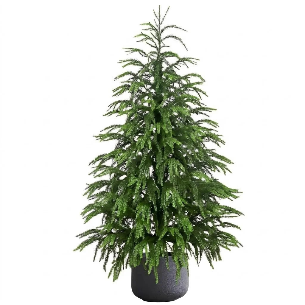 XIBUFE 2026 New Christmas Decorations-2-Foot Christmas Artificial Norfolk Pine Tree for Front Porch-Realistic Potted Tree Xmas Decor for Home Outdoor Indoor Garden Xmas Decor - Walmart.com | Walmart (US)