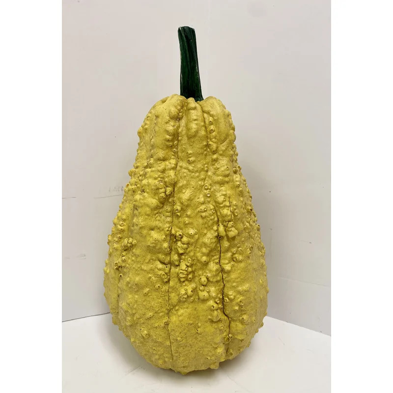 Omie Tall Gourd/Squash | Wayfair Professional